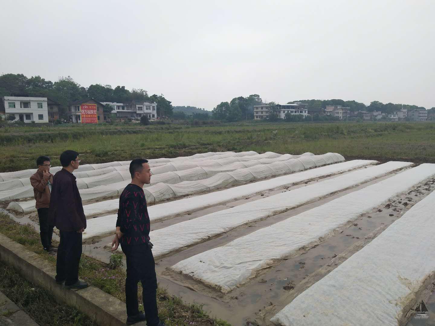 常宁每个镇的人口是多少_常宁镇新华小学(2)