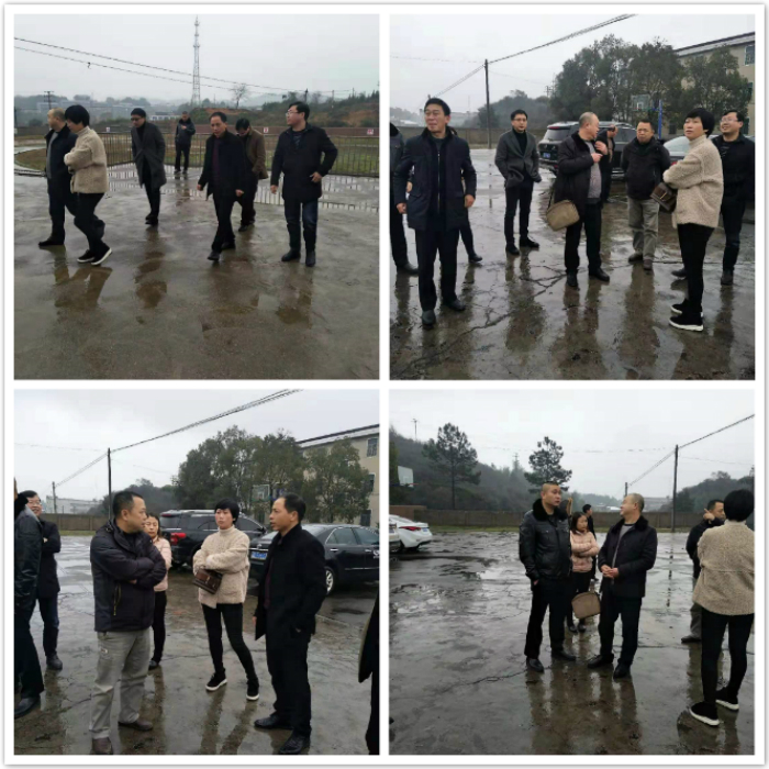 耒阳,常宁两市教育局,财政局领导莅临盐湖中学视察,指导工作