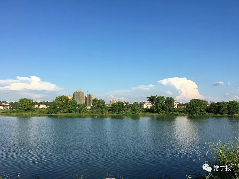 常宁经济总量_常宁二中校花吴倩照片