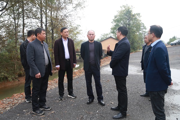 常宁廉政网-石海燕到西岭镇调研指导"清廉村居"建设