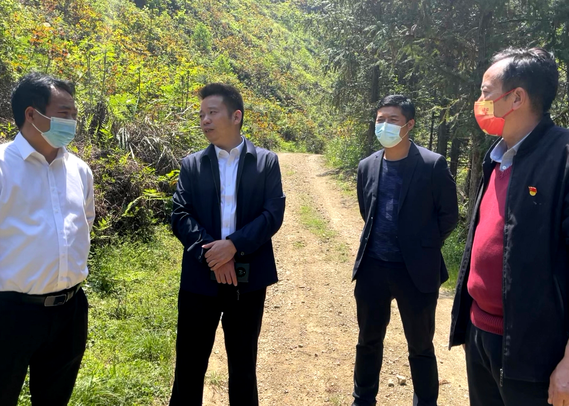 周黎到洋泉镇督查林长制和森林防火工作