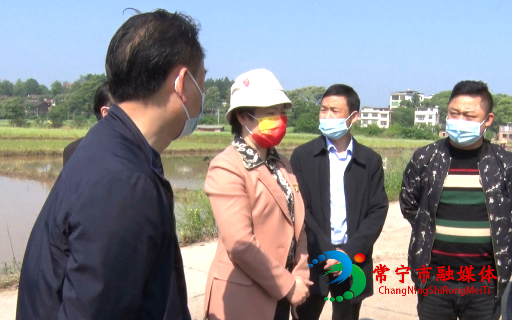 王一花率调研组开展市政协稳定粮食播种面积专项监督工作