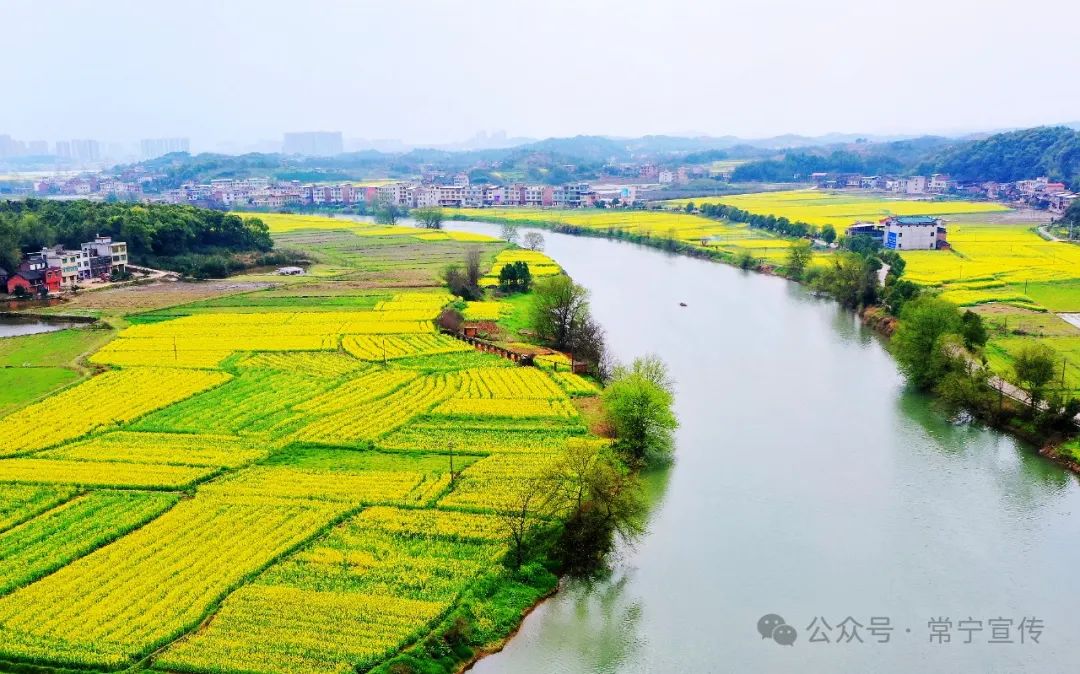 常宁市人民政府门户网站-春风催开花千树!这份常宁春季赏花地图请查收