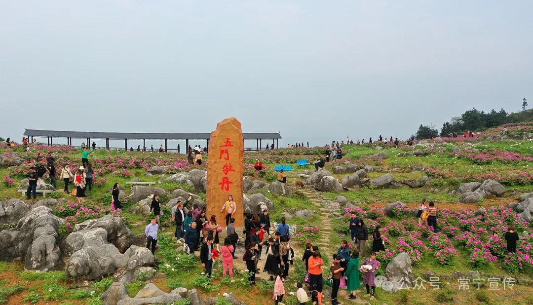 出口>常宁城区>洋泉镇>塔山瑶族乡(洋塔公路)>狮园村>天堂山1080_618