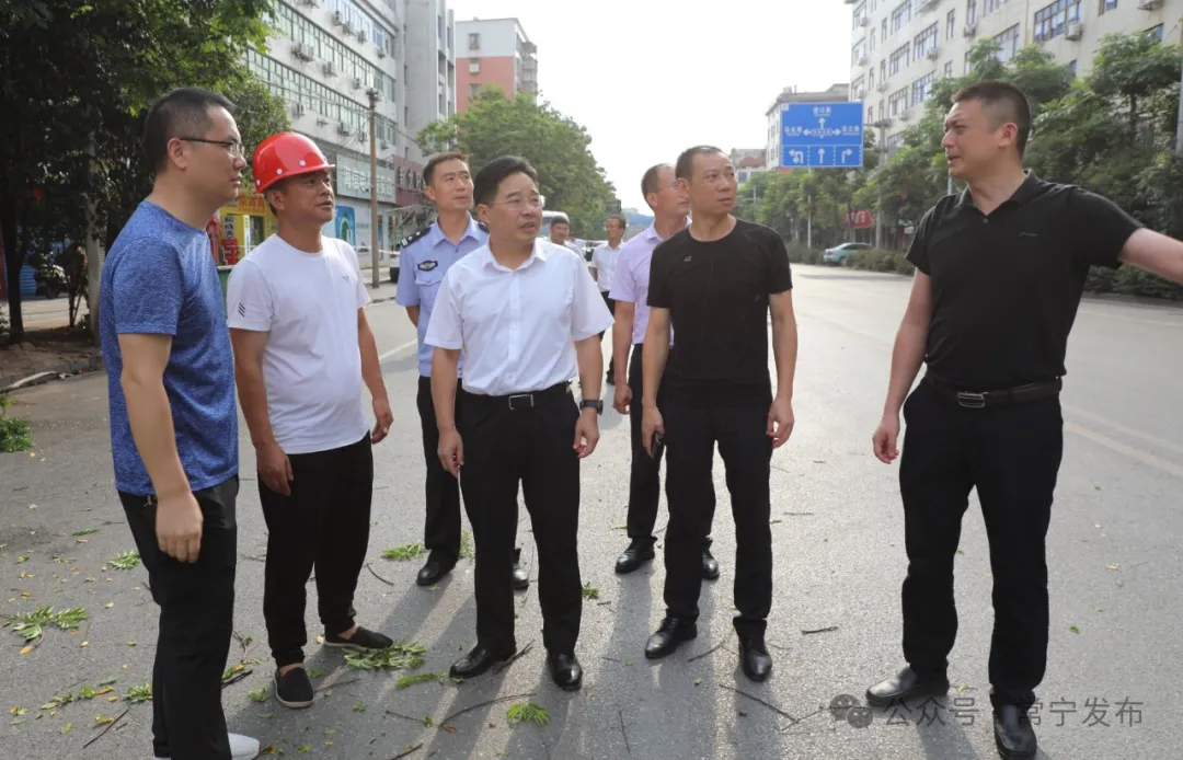 罗卫华到水口山镇调研城镇化建设"百日攻坚行动",营