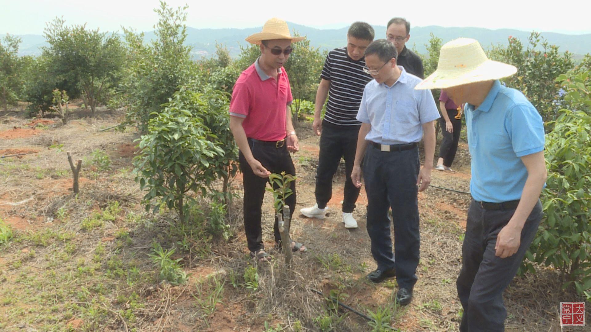 常宁市领导邹远国参加.