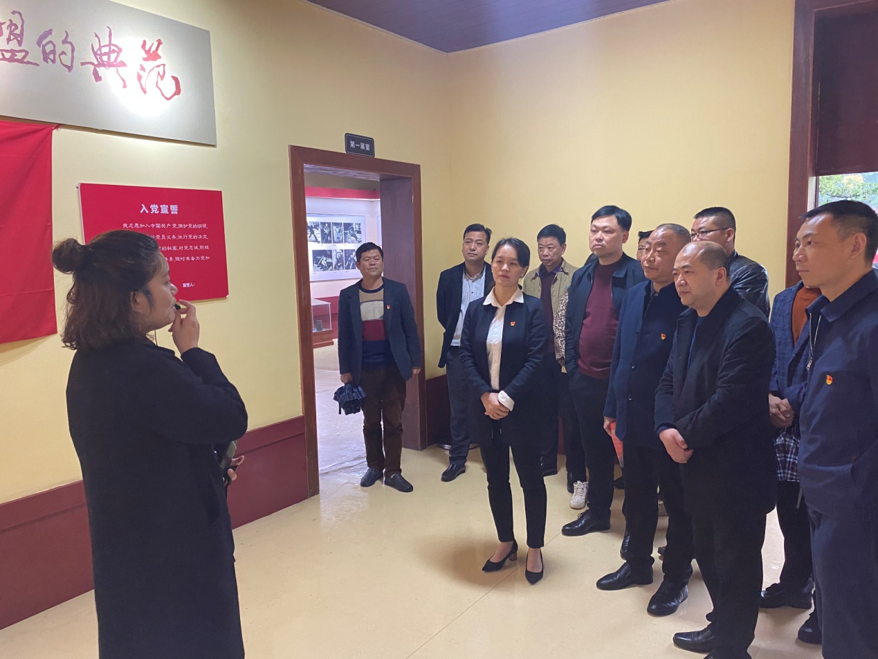 常宁市水口山镇开展 "学史明理"主题党日活动