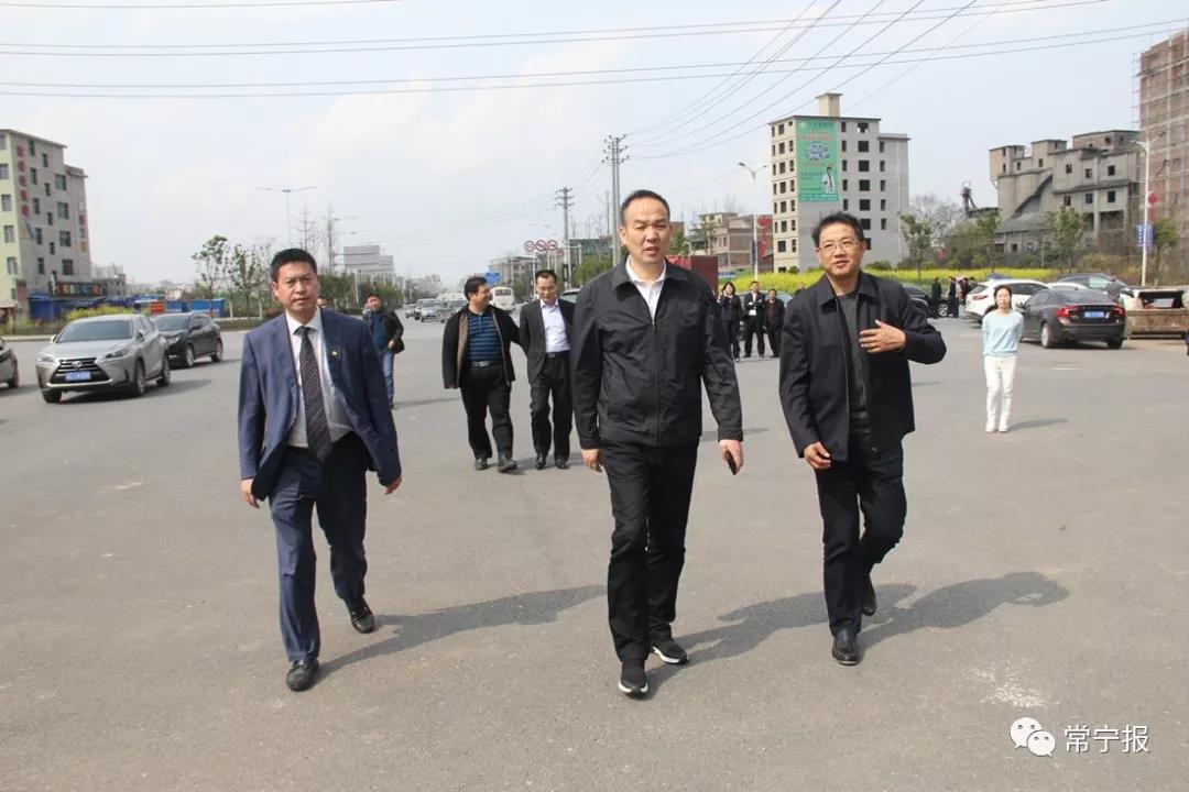 常宁市党政门户网