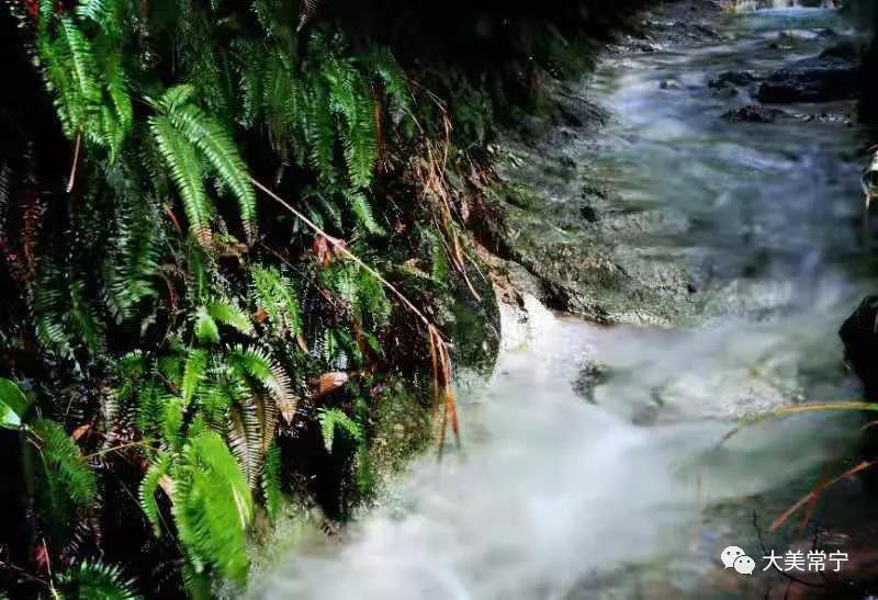 让你有一种"雨洗青山山更碧"的感觉.
